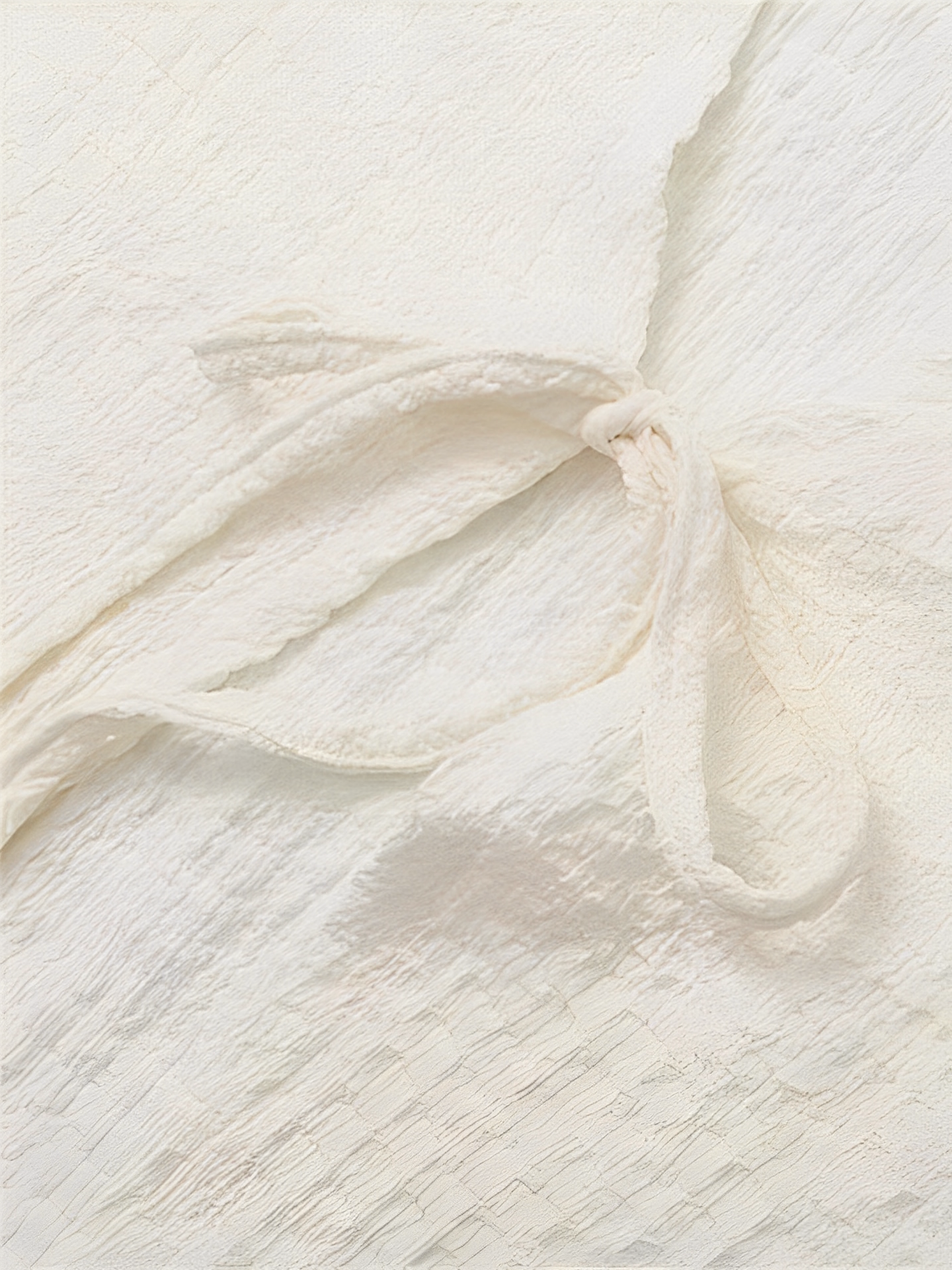 Conjunto Texturizado Daisy com Amarração e Short